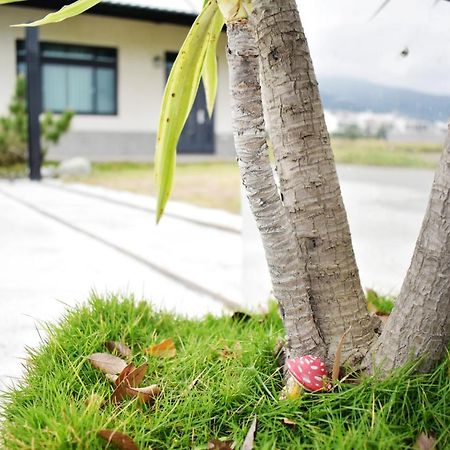 Rural Scenery Villa Taitung ภายนอก รูปภาพ